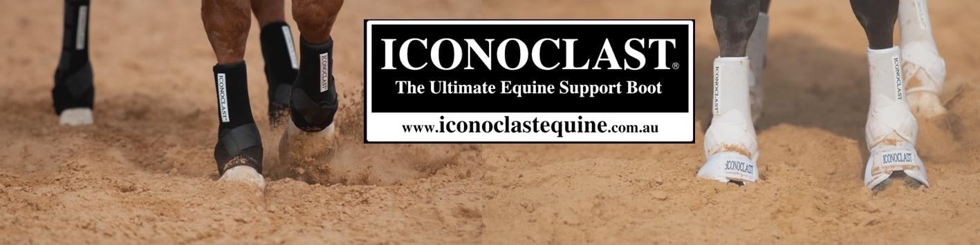 Achetez des bottes de soin pour chevaux en ligne